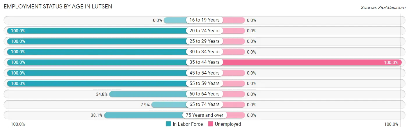Employment Status by Age in Lutsen