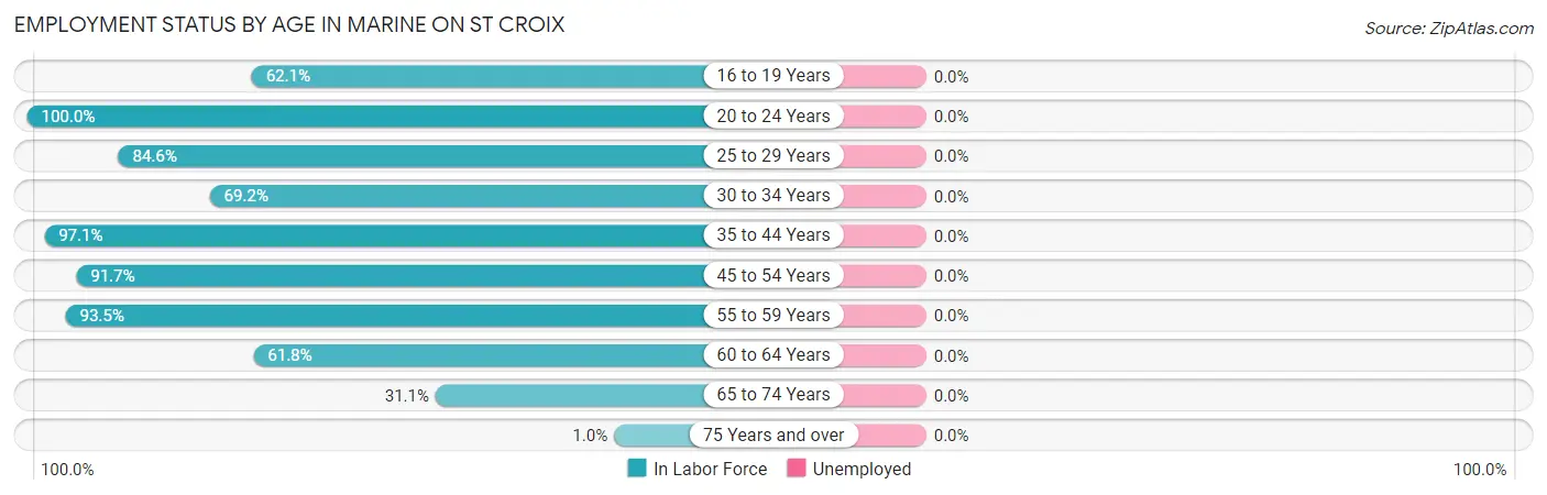 Employment Status by Age in Marine on St Croix