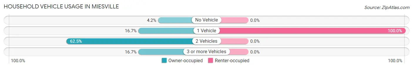 Household Vehicle Usage in Miesville