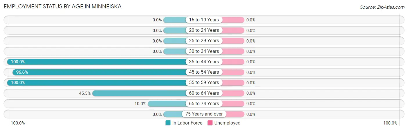 Employment Status by Age in Minneiska
