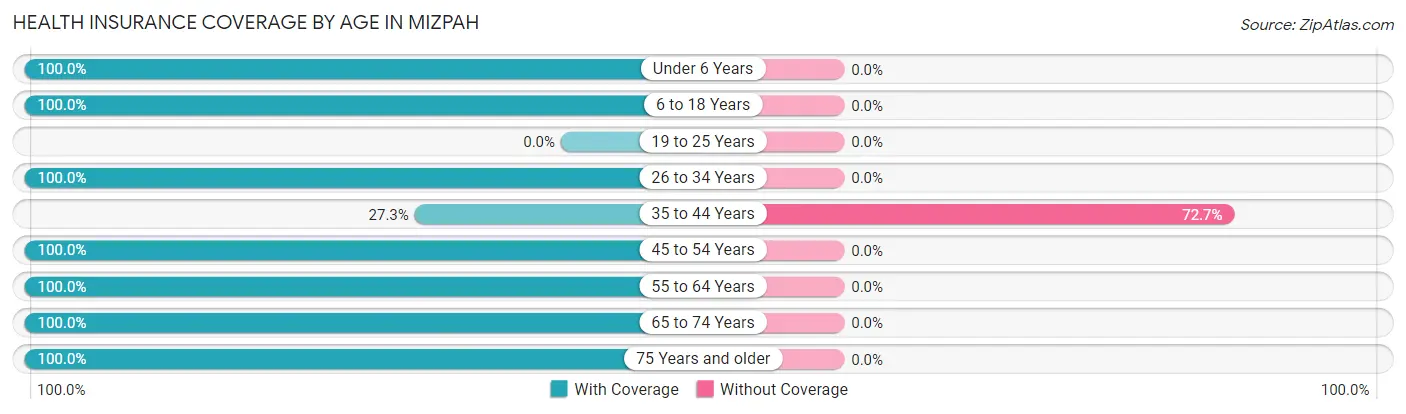 Health Insurance Coverage by Age in Mizpah