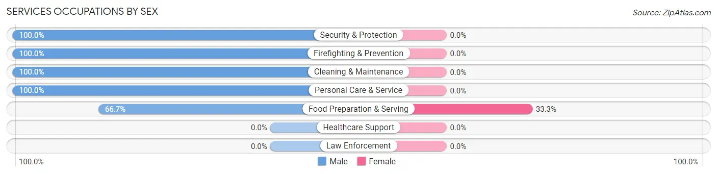 Services Occupations by Sex in Nett Lake