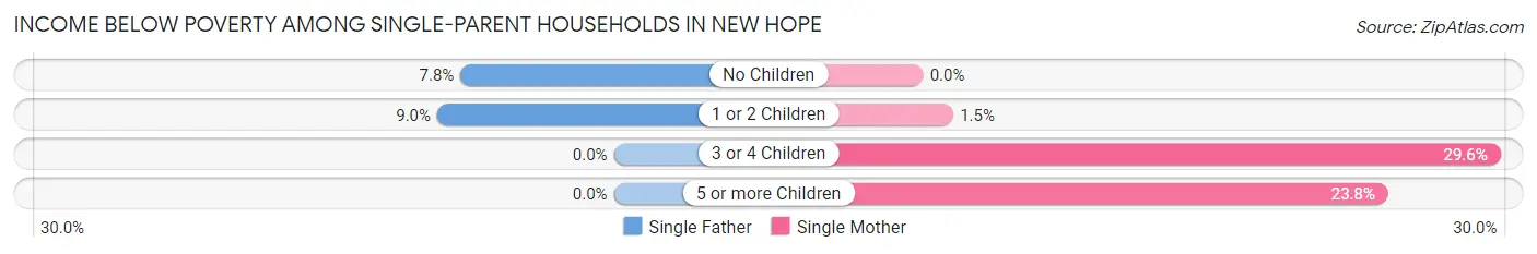 Income Below Poverty Among Single-Parent Households in New Hope