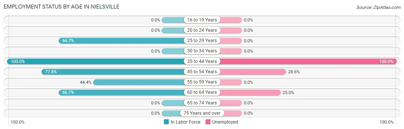 Employment Status by Age in Nielsville