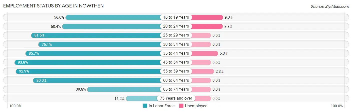 Employment Status by Age in Nowthen