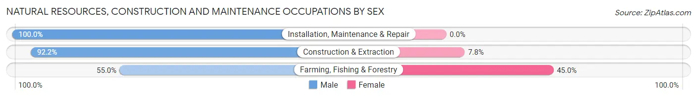 Natural Resources, Construction and Maintenance Occupations by Sex in Nowthen