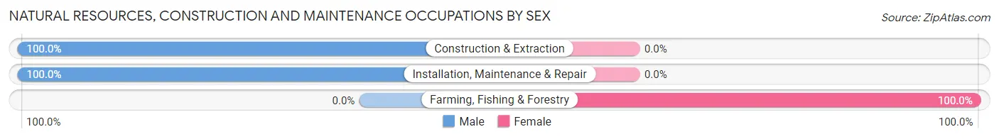 Natural Resources, Construction and Maintenance Occupations by Sex in Parkers Prairie