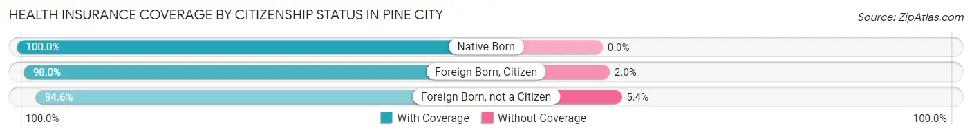 Health Insurance Coverage by Citizenship Status in Pine City