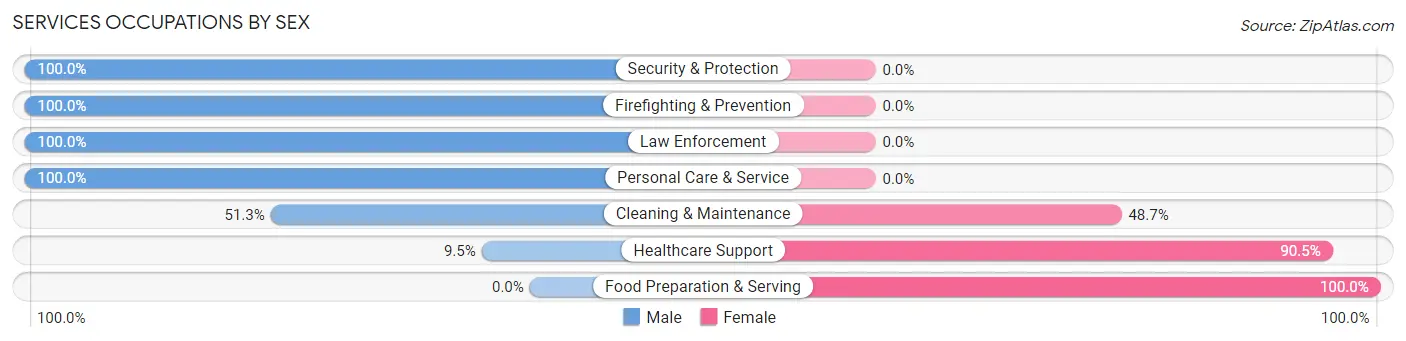 Services Occupations by Sex in Pine City