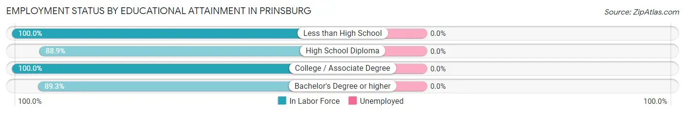 Employment Status by Educational Attainment in Prinsburg