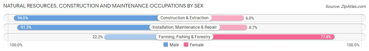 Natural Resources, Construction and Maintenance Occupations by Sex in Prior Lake