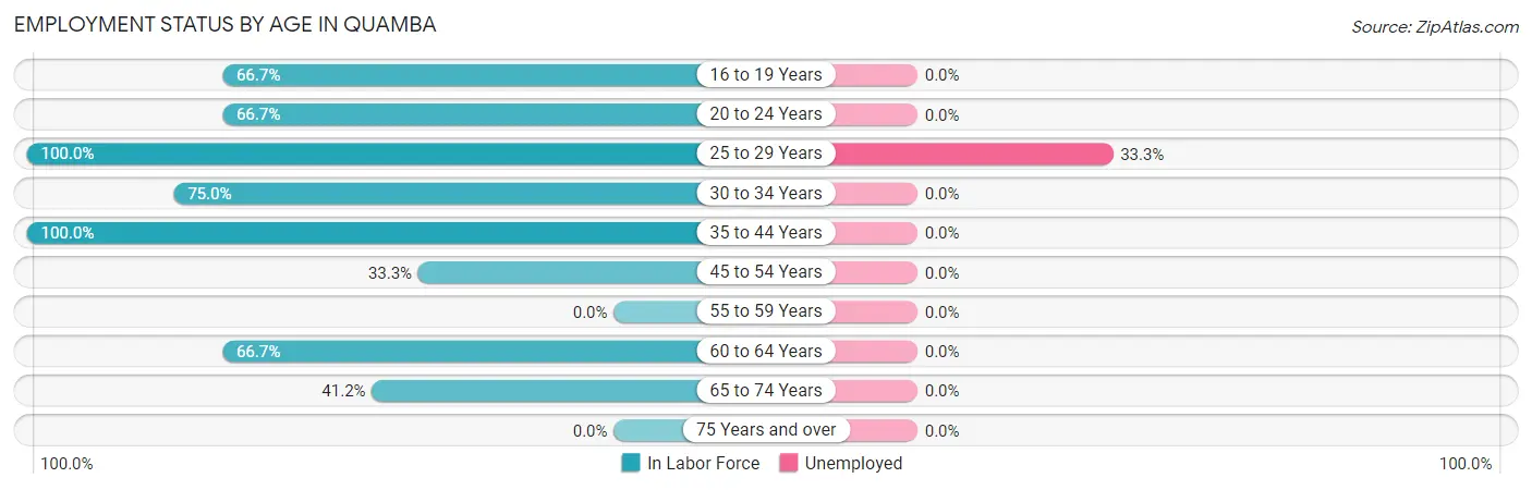 Employment Status by Age in Quamba