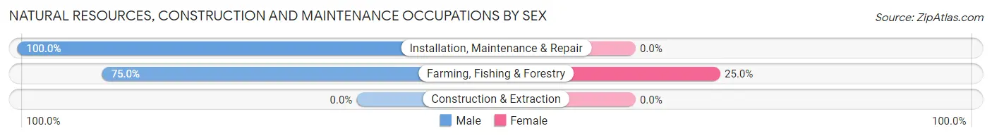 Natural Resources, Construction and Maintenance Occupations by Sex in Regal