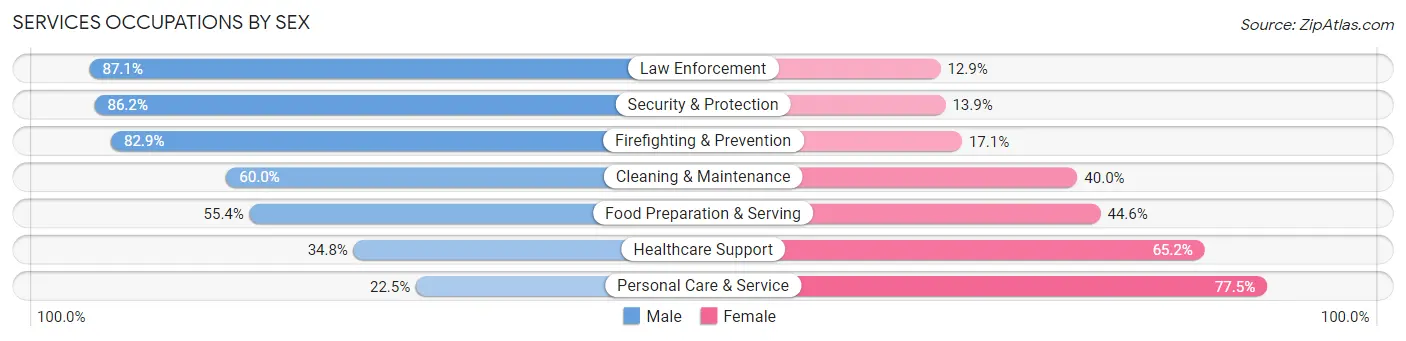 Services Occupations by Sex in Rochester
