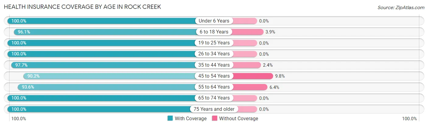 Health Insurance Coverage by Age in Rock Creek