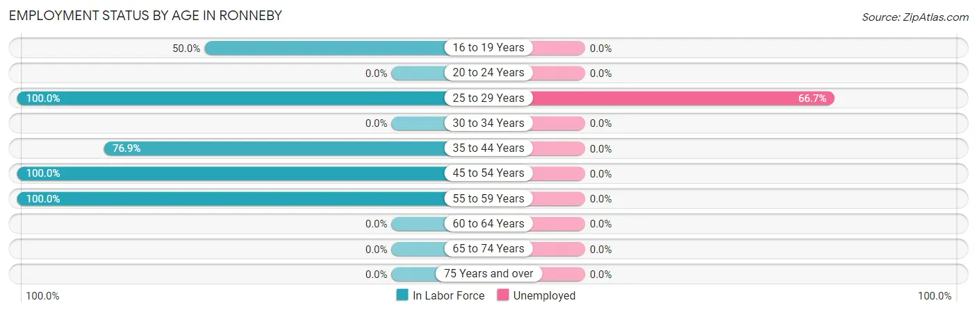 Employment Status by Age in Ronneby