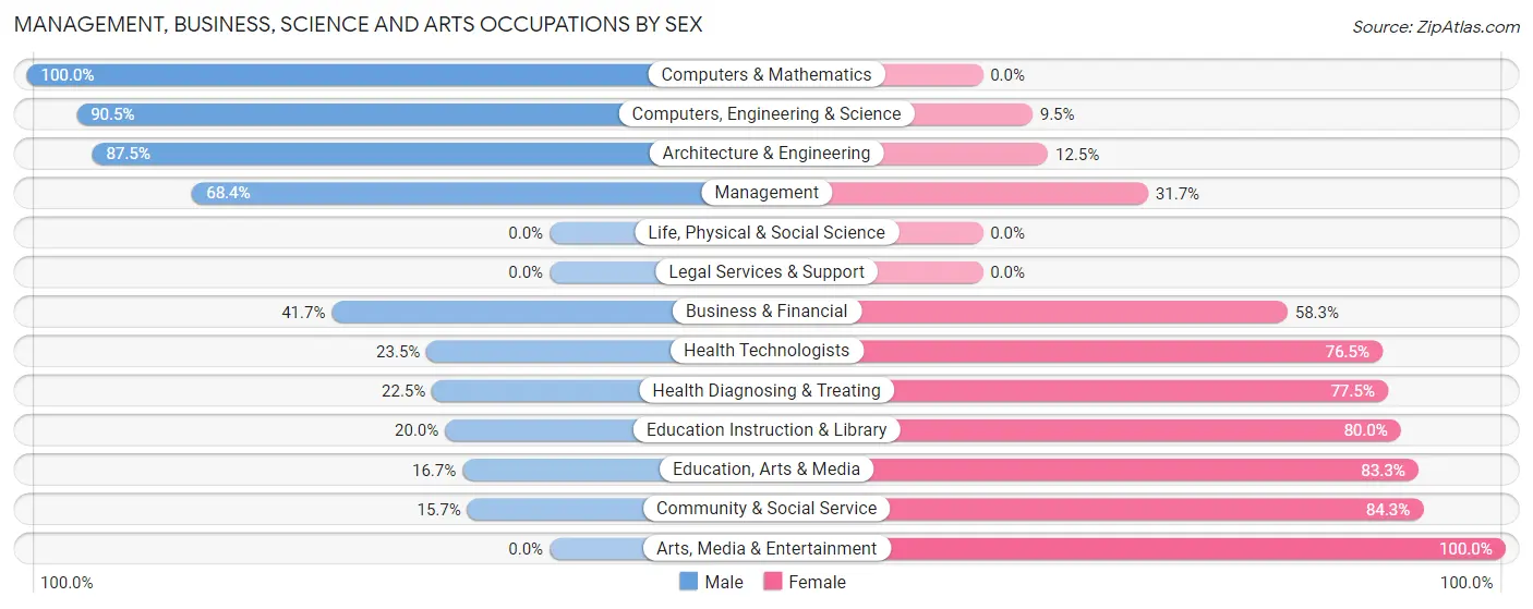 Management, Business, Science and Arts Occupations by Sex in Rush City