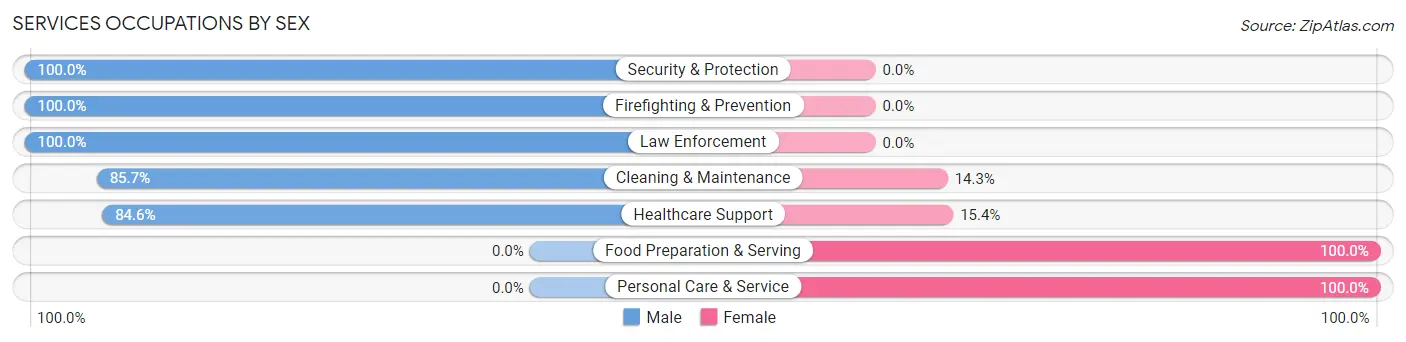 Services Occupations by Sex in Sabin