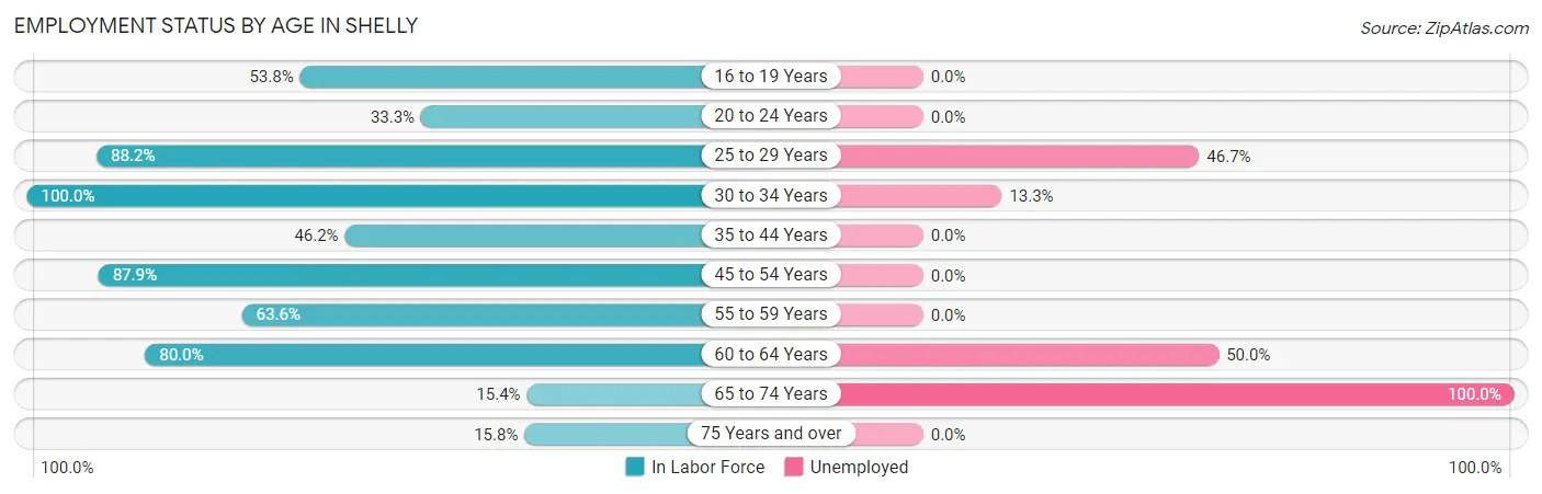 Employment Status by Age in Shelly