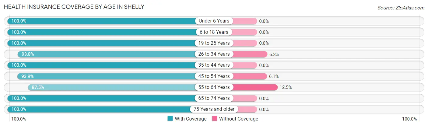 Health Insurance Coverage by Age in Shelly
