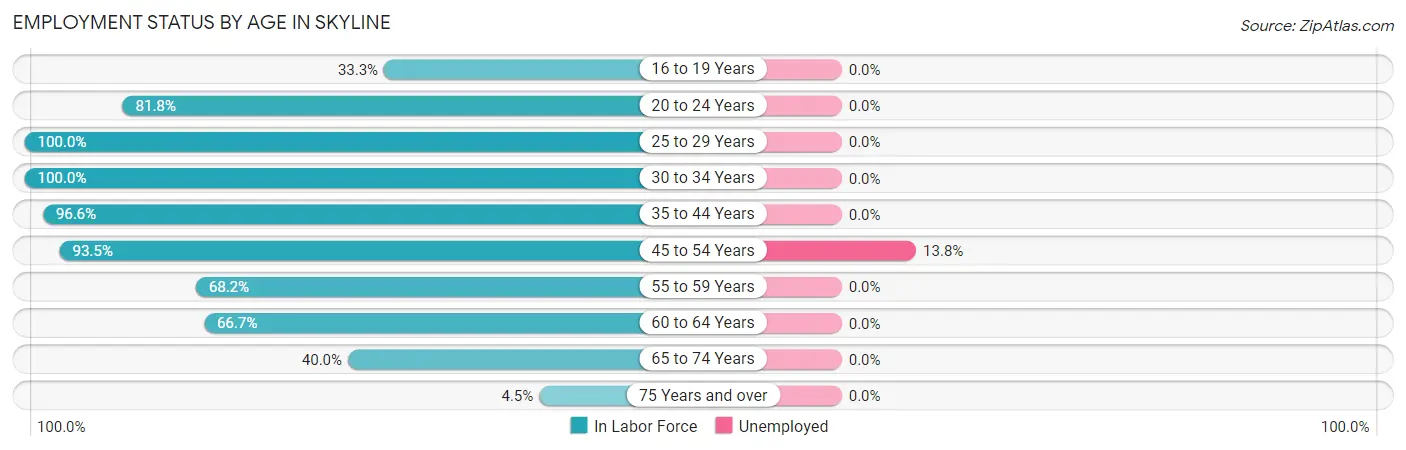 Employment Status by Age in Skyline