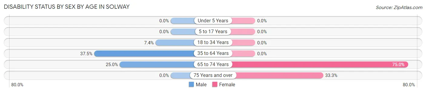 Disability Status by Sex by Age in Solway