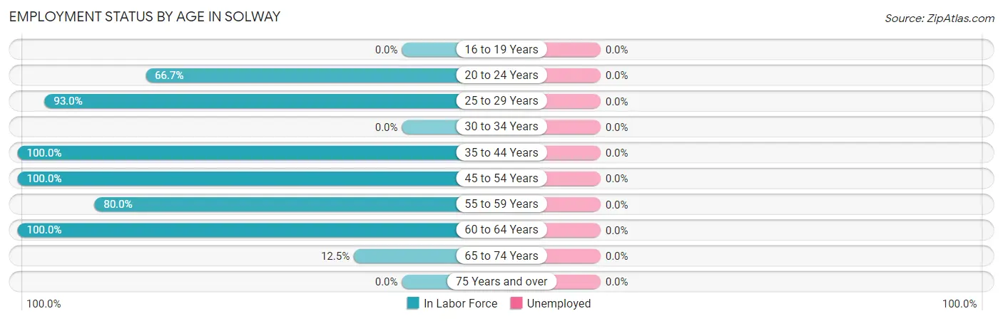 Employment Status by Age in Solway