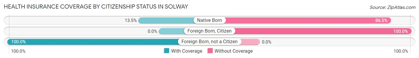 Health Insurance Coverage by Citizenship Status in Solway