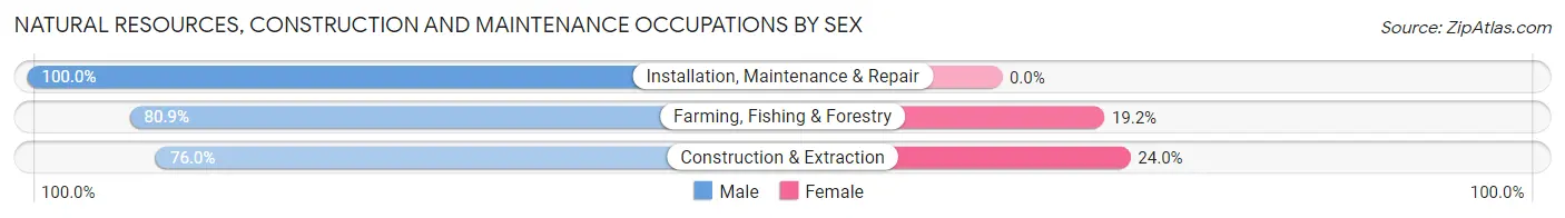 Natural Resources, Construction and Maintenance Occupations by Sex in St Peter
