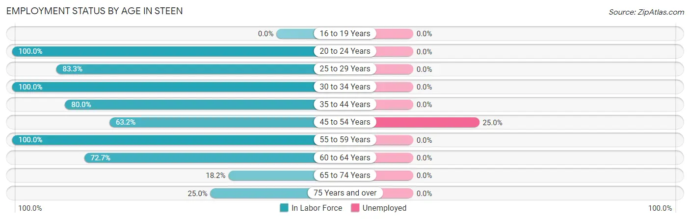 Employment Status by Age in Steen