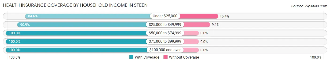 Health Insurance Coverage by Household Income in Steen