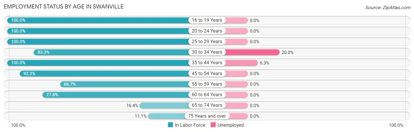 Employment Status by Age in Swanville