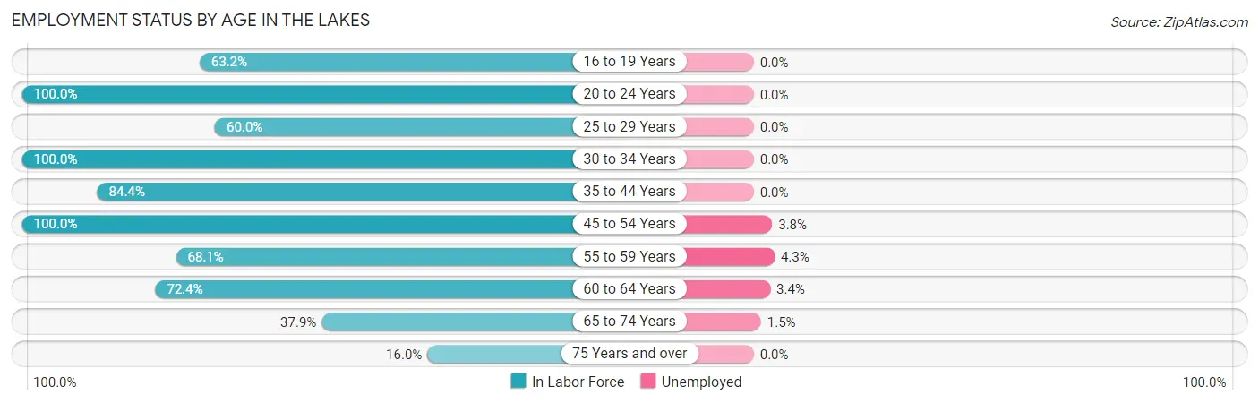 Employment Status by Age in The Lakes