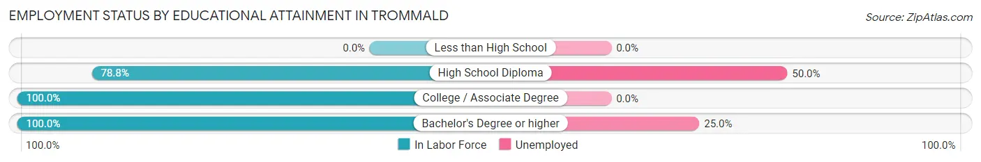 Employment Status by Educational Attainment in Trommald