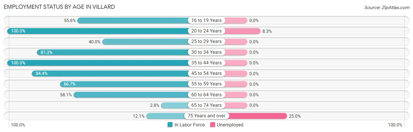 Employment Status by Age in Villard