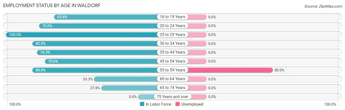 Employment Status by Age in Waldorf