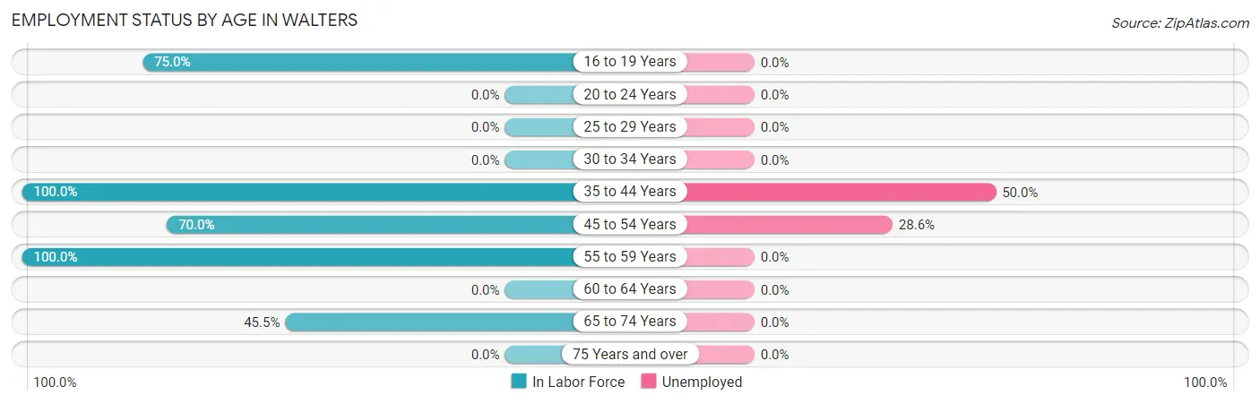 Employment Status by Age in Walters