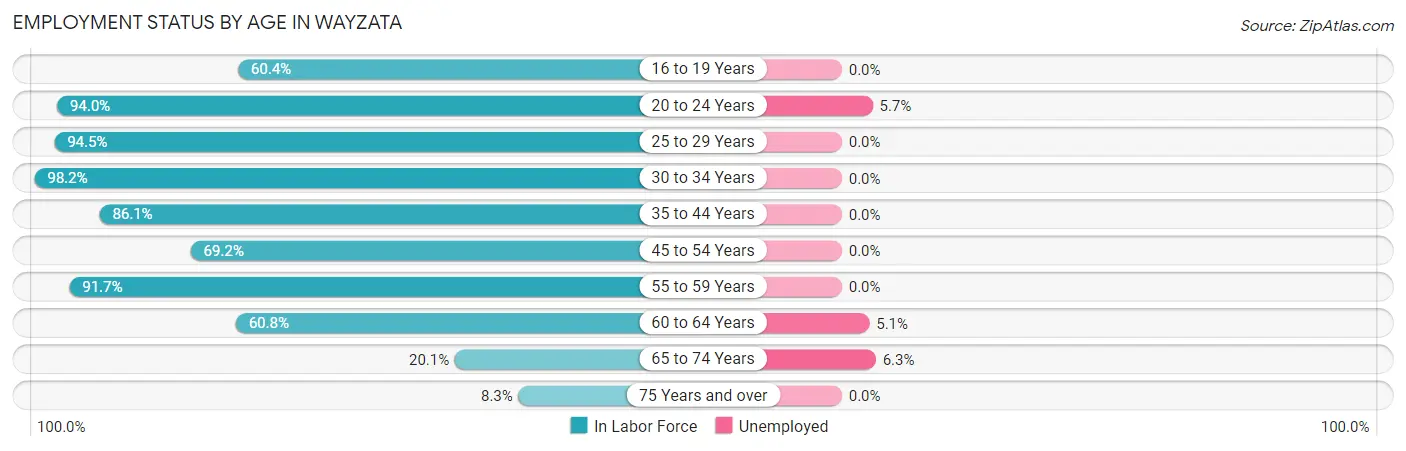 Employment Status by Age in Wayzata