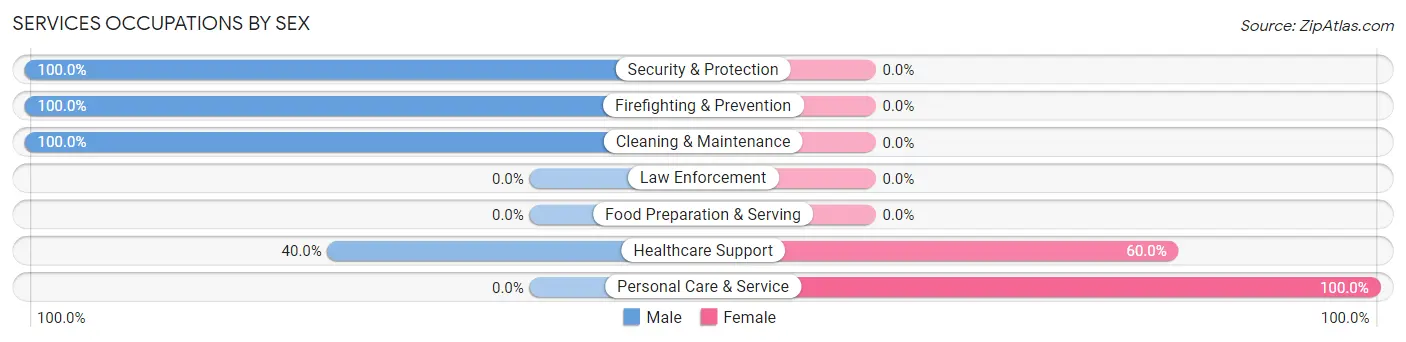 Services Occupations by Sex in Wilton