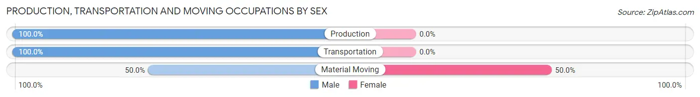 Production, Transportation and Moving Occupations by Sex in Winger