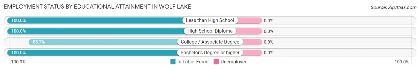 Employment Status by Educational Attainment in Wolf Lake