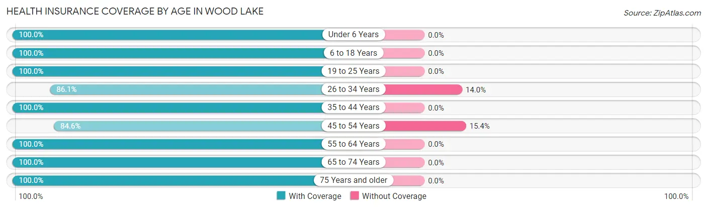 Health Insurance Coverage by Age in Wood Lake