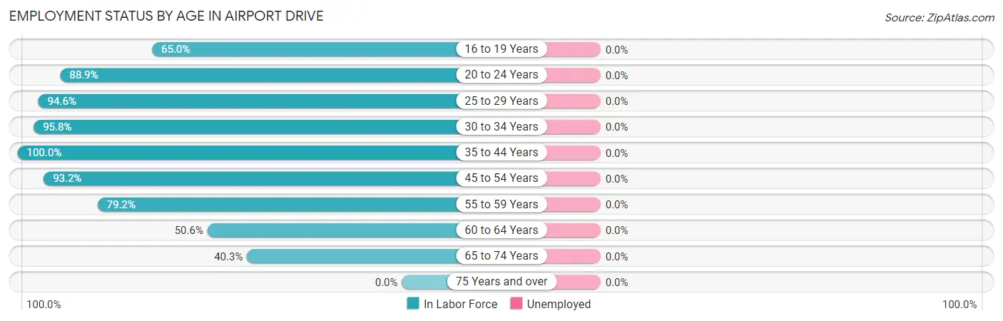 Employment Status by Age in Airport Drive