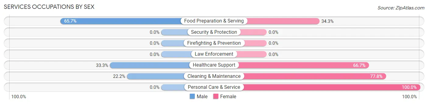 Services Occupations by Sex in Airport Drive