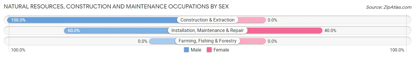 Natural Resources, Construction and Maintenance Occupations by Sex in Amazonia