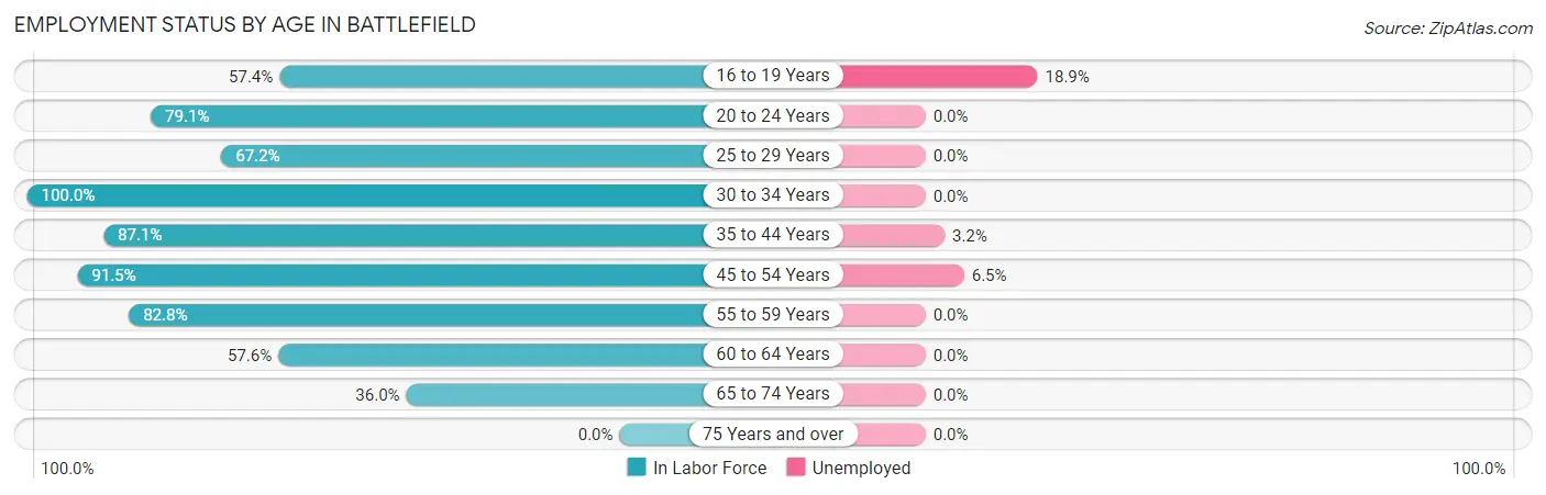 Employment Status by Age in Battlefield