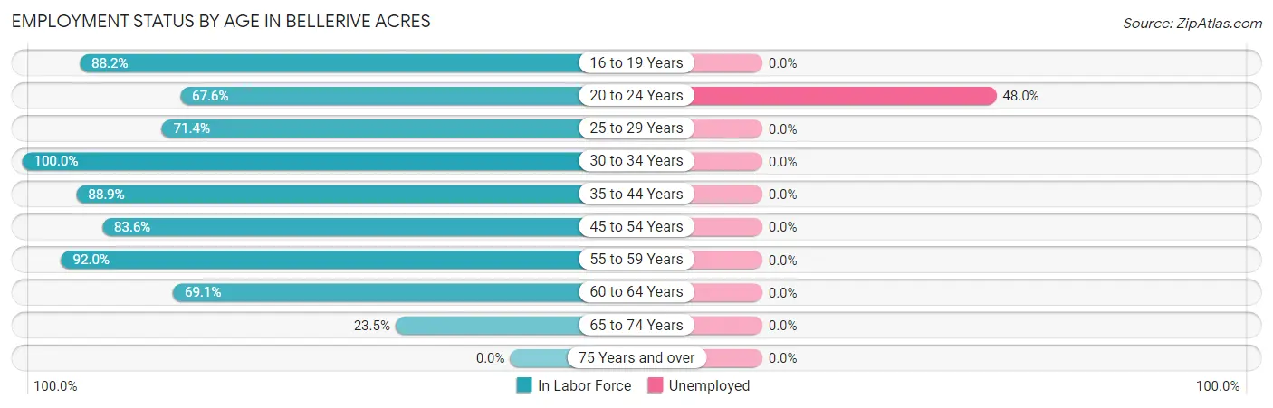 Employment Status by Age in Bellerive Acres