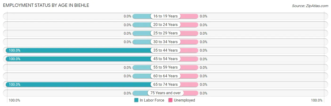 Employment Status by Age in Biehle