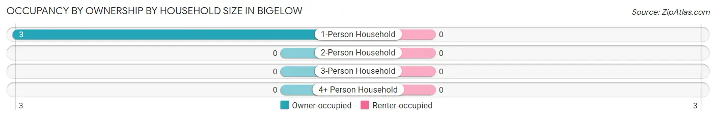 Occupancy by Ownership by Household Size in Bigelow