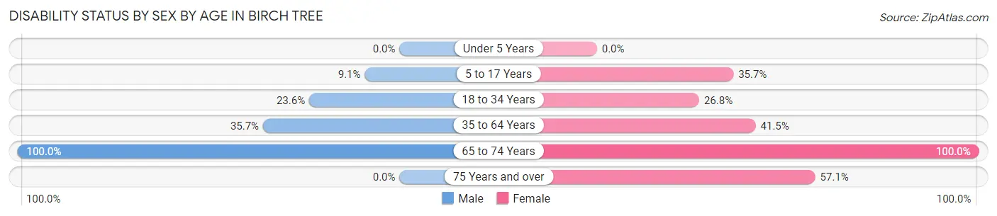 Disability Status by Sex by Age in Birch Tree